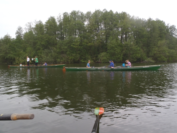 Ruderboote auf dem Stienitzsee 2013