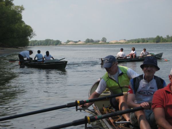 Ruderboote auf der Donau D11