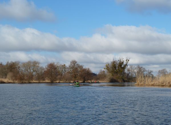 Ruderboote auf der Havel Ketzin 2011