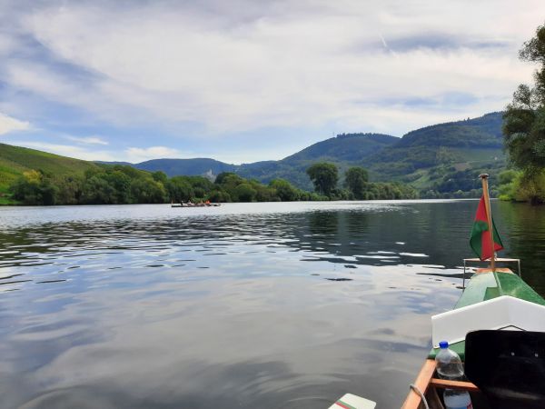 Ruderboote auf der Mosel 2021