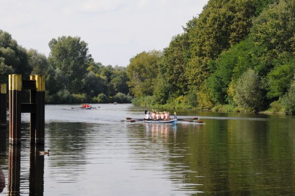 Ruderboote beim Drachenbootcup 2010