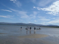 Ruderboote beim Einsetzen Porsangenfjord 2012