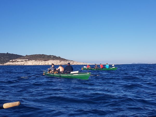 Ruderboote vor Klippe in der Adria 2018