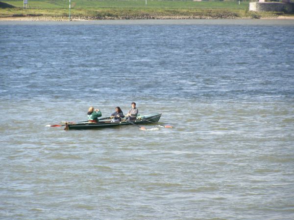 Ruderclub Kleinmachnow auf dem Rhein bei Emmerich WRT10