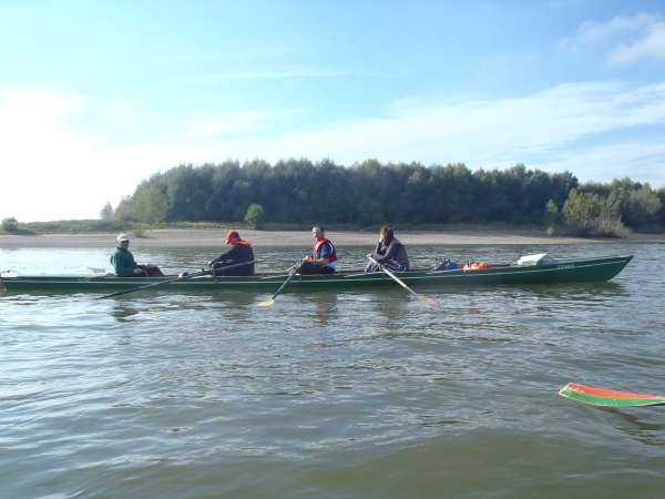 Ruderer auf dem Niederrhein 2013