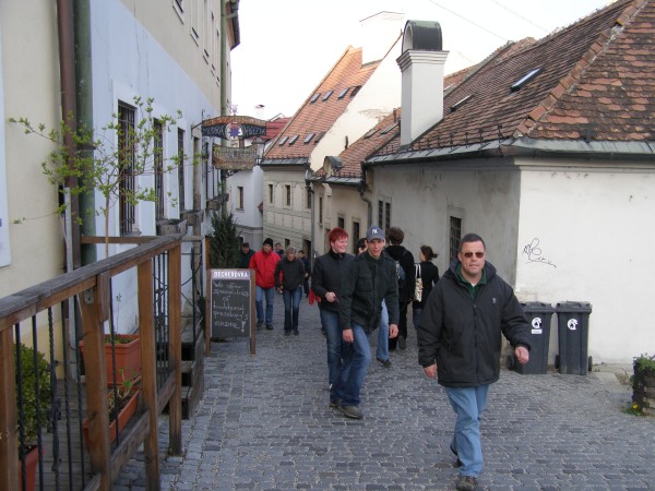 Ruderer auf dem Weg zur Burg Bratislava  DWM07