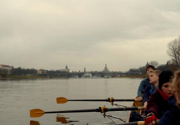 Ruderer in Dresden Elbe 2013