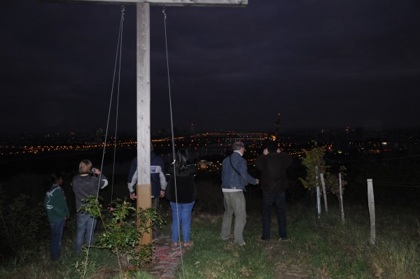 Ruderer um Weinberg mit Blick auf Wien D09