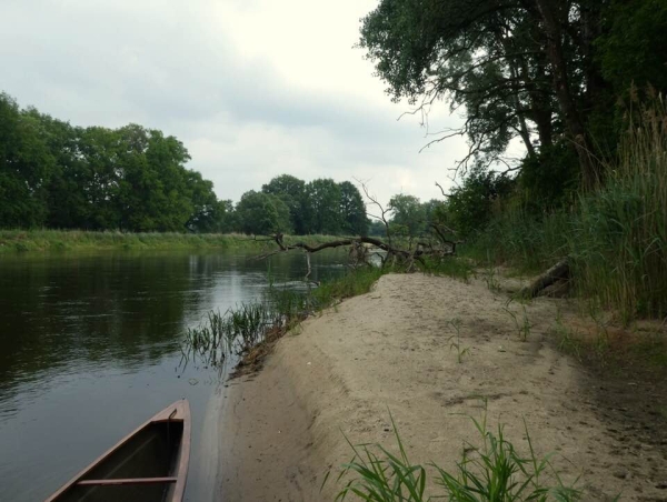 Rudereridylle an der Warthe 2018