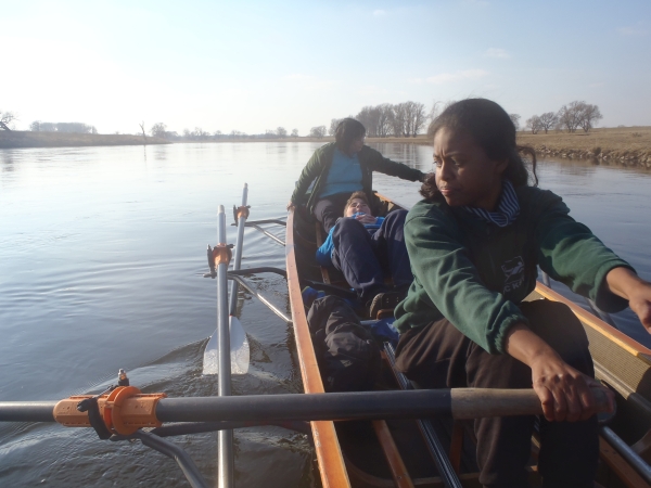 Ruderinnen auf der Elbe 2015