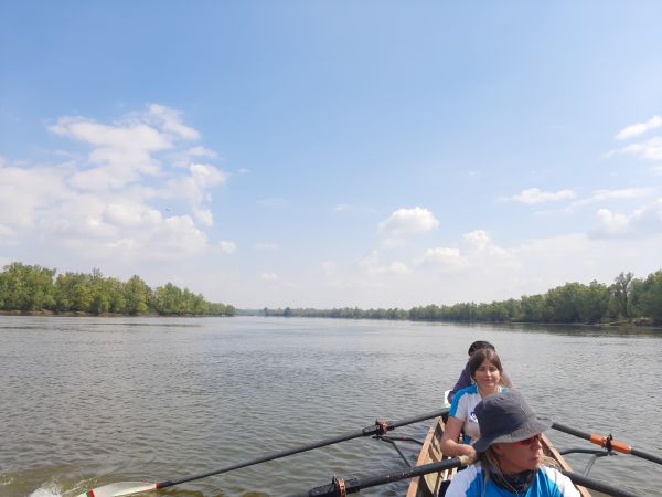 Ruderinnen auf der kroatischen Donau 2022