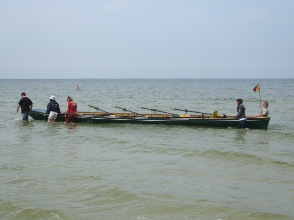 Rudervierer am Strand der Ostsee P07