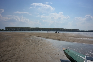 Sandbank in der Donau 2014 Sandbank in der Donau 2014