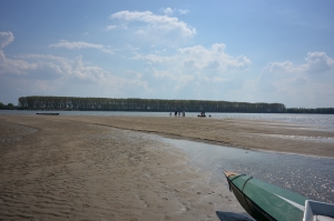 Sandbank in der Donau 2014