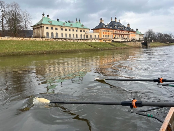 Schloss Pillnitz Elbe 2023