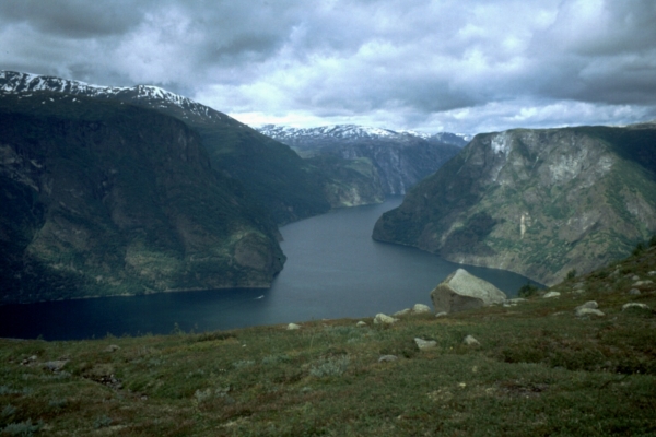 Sognejford