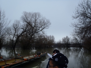 Start auf der Wiese bei Djerdap II Donaufahrt 2018 Start auf der Wiese bei Djerdap II Donaufahrt 2018