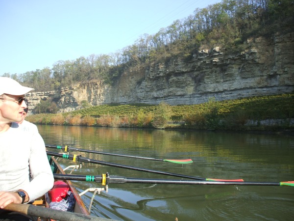 Steilwand am Neckar NR07