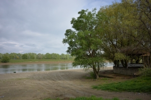 Strand borcea donau calarasi 2014