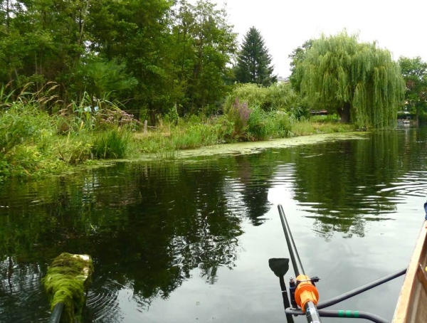 Tegler See Ruderboot 2016