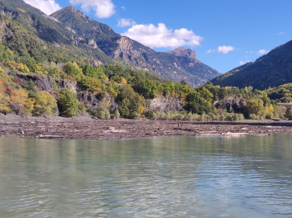 Treibholz am Lac Serre Poncon 2023