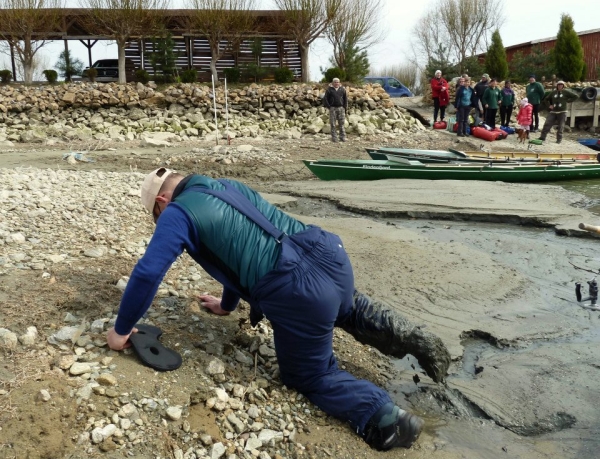 Treibsand an der Donau 2013