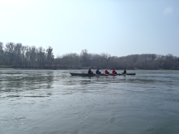 Vierer auf dem Weg nach Bratislava Donau 2016