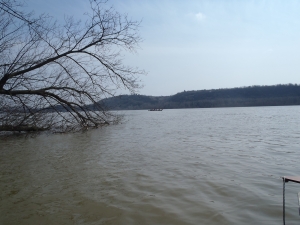 Vierer auf der Donau 2018 Vierer auf der Donau 2018