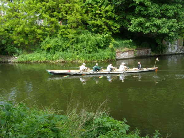 Vierer in Brandenburg Havel10