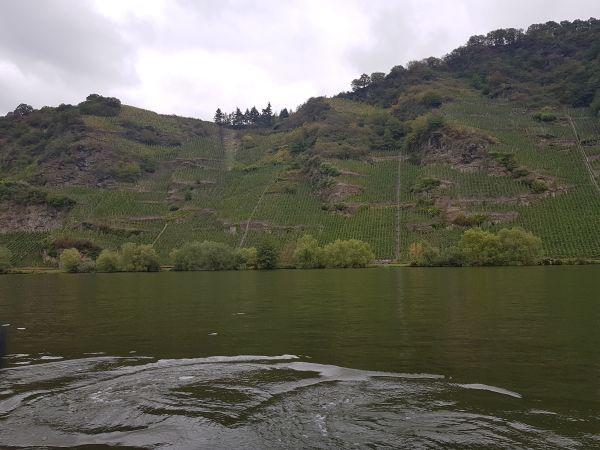 Weinberge bis zum Bergkamm Mosel 2019