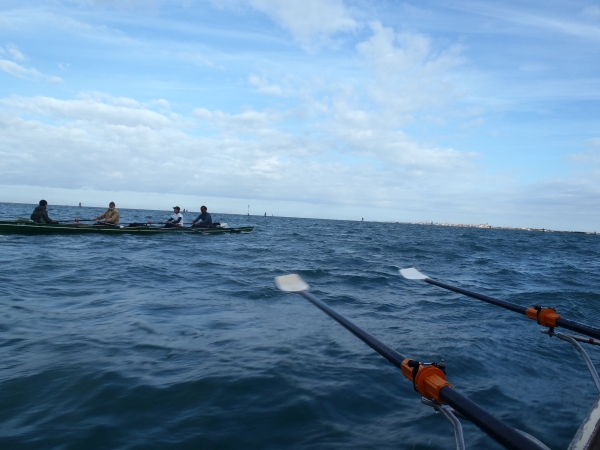 au der Lagune von Venedig 2017