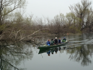 auf dem gruenen Fluss Donau 2013