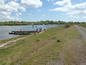 auf der suche nach der duene donau 2014