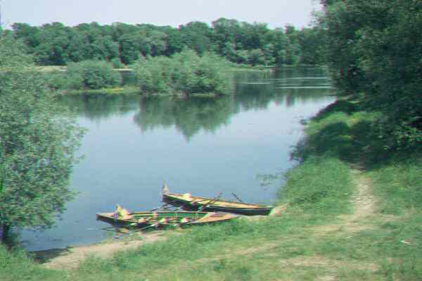 Ruderboote an der Oder