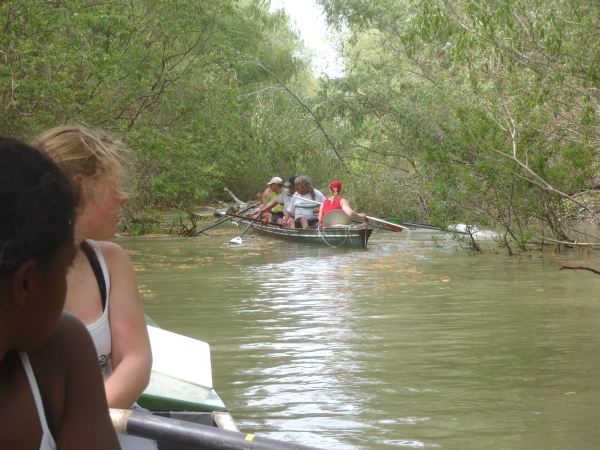 die graeben werden enger donaudelta 2014