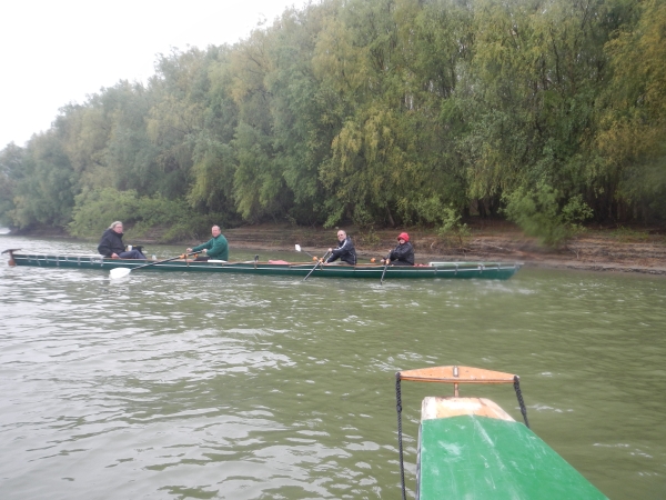 donauufer mit ruderboot donau 20104