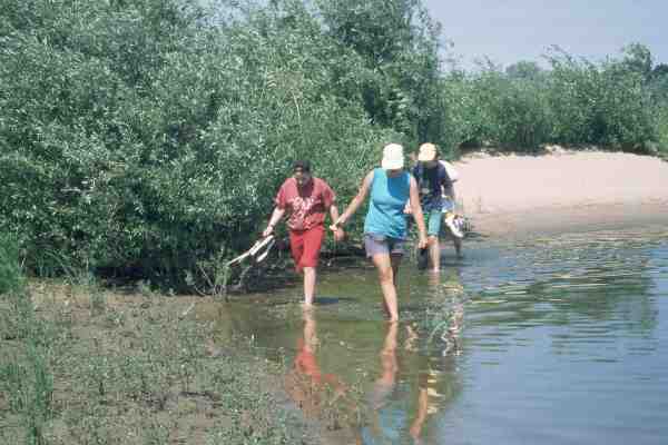 Am Elbestrand Ruderer