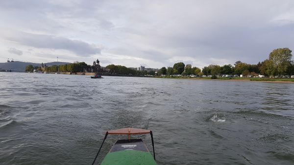 endlich auf dem Rhein 2019