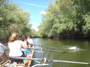 enger Graben im Donaudelta 2014