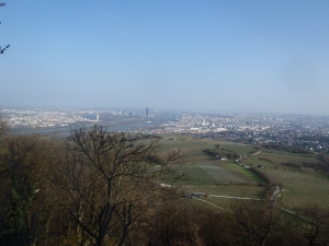 kahlenberg blick auf wien 2015