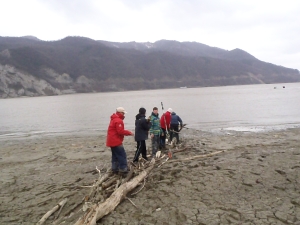 knueppeldamm zum boot Donau 2013