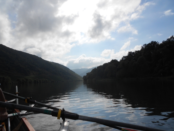 mosel aus der rudererperspektive 2013