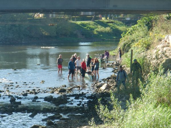 oberhalb der Stromschnelle von Donauwrth 2021