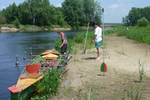 pause am strand bug 2013