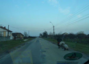 rumaenien landstrasse Donau 13 rumaenien landstrasse Donau 13
