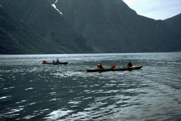 Ruderboote auf dem Fjord