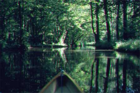 im spreewald mit ruderboot