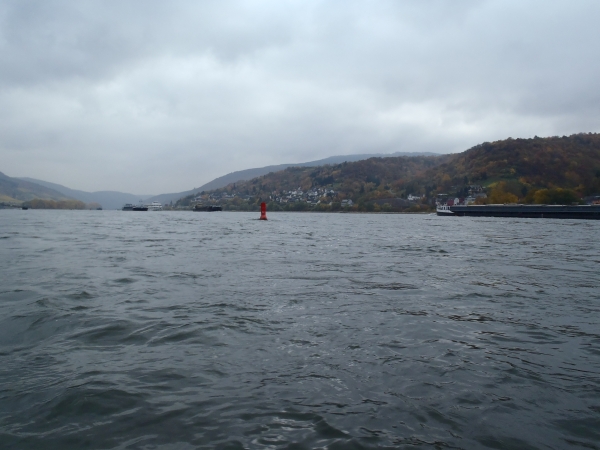 viel Verkehr auf dem Rhein 2015