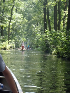 wehrkanal spreewald 2015