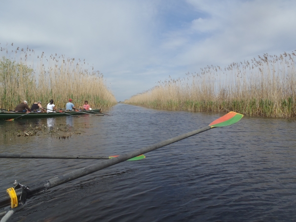 welcher Graben im Schilf ist der richtige Donaudelta 2014